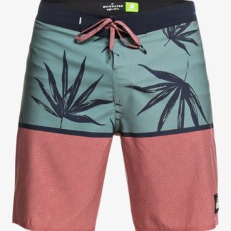 Highline Division 19" - Boardshort da Uomo